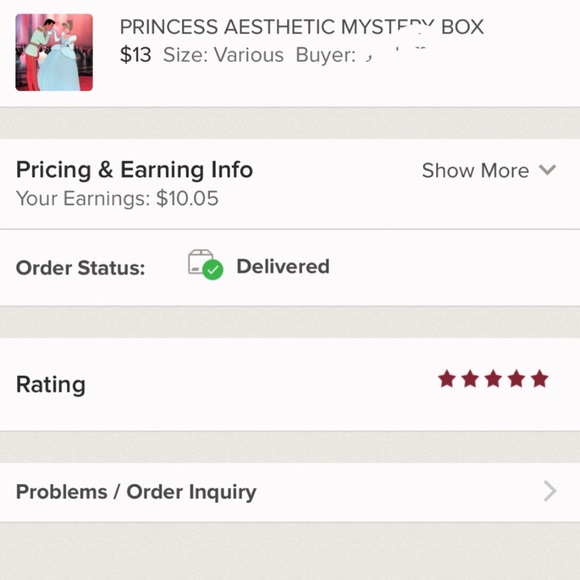 PRINCESS AESTHETIC MYSTERY BOX - Picture 13 of 16